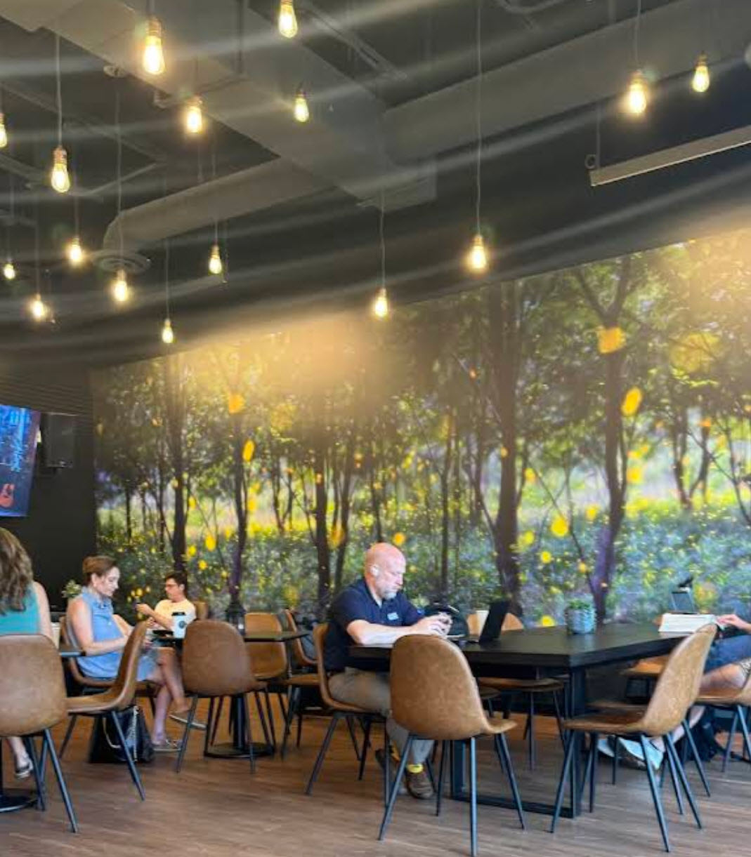 firefly organic coffee scottsdale