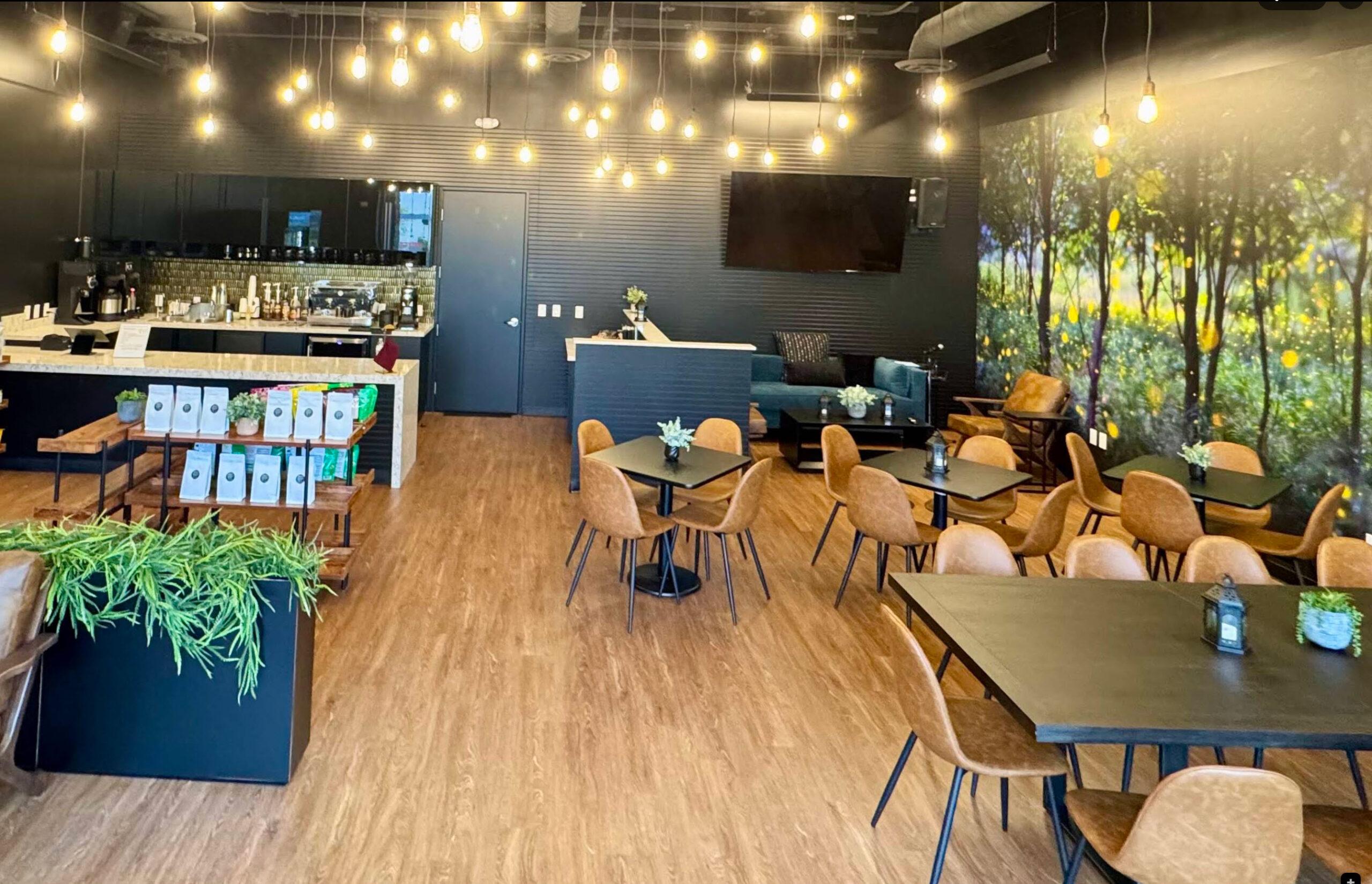 firefly organic coffee scottsdale