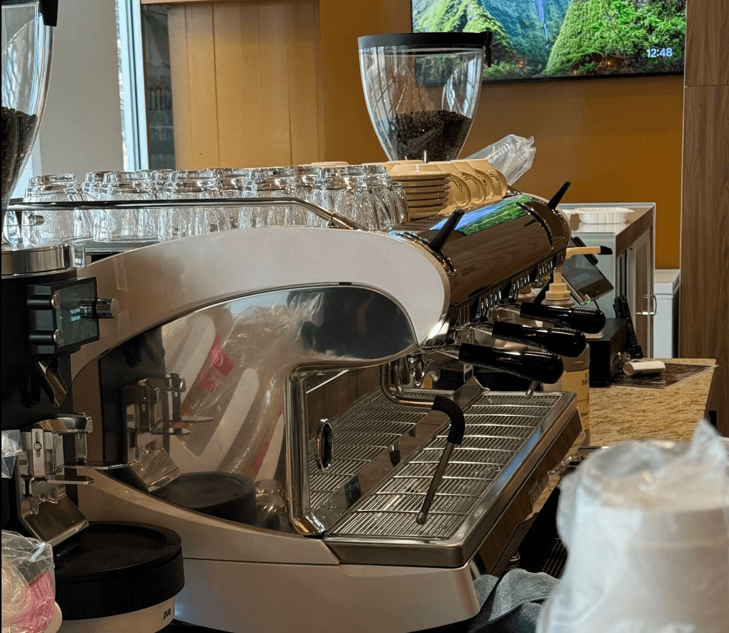 shibam-coffee-of-tempe