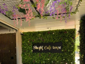 Shaghf Cafe Patio in Tempe Arizona