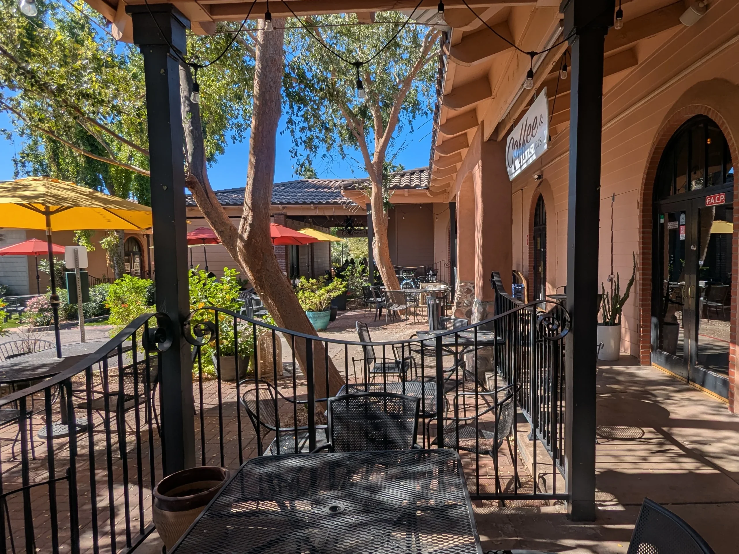 jasmine jo tempe as beautiful back patio