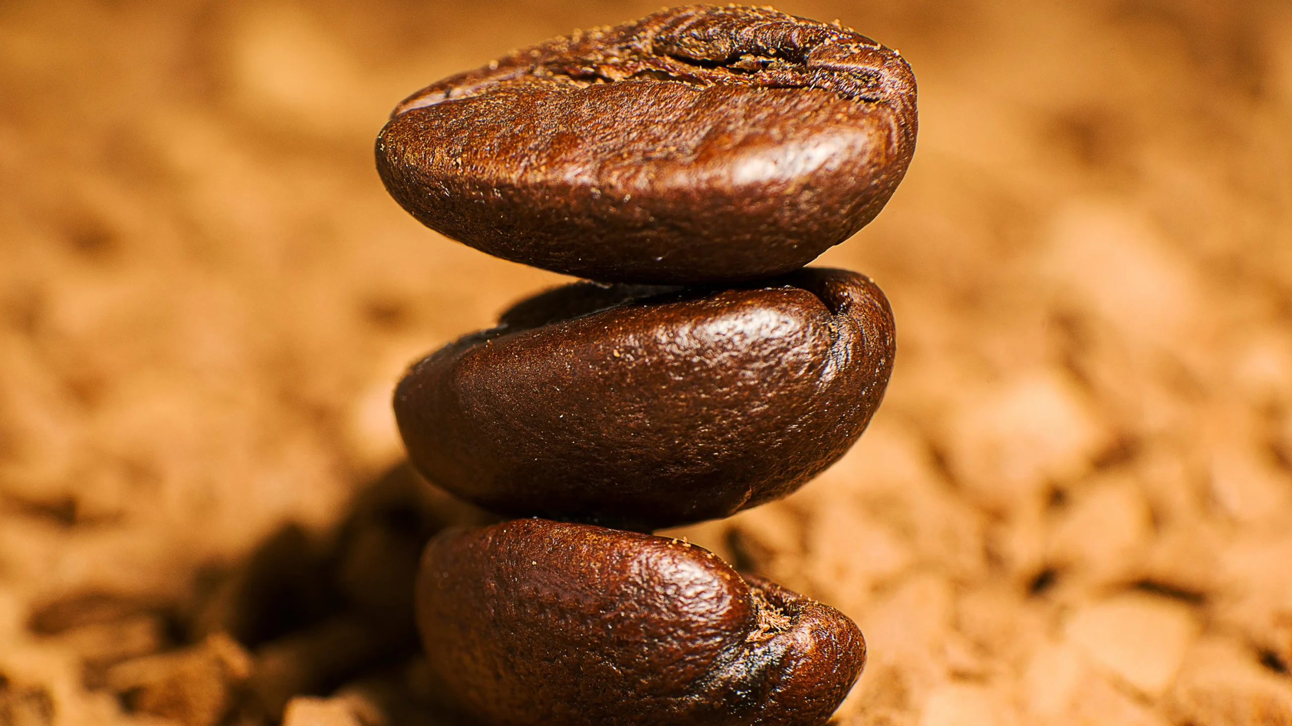 Coffee Shop Search Filters