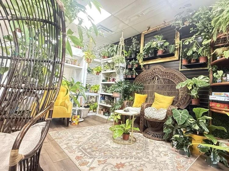 Charlee Rose Coffee Gilbert seating area