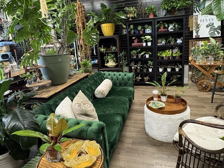 Charlee Rose Coffee Gilbert sofa seating