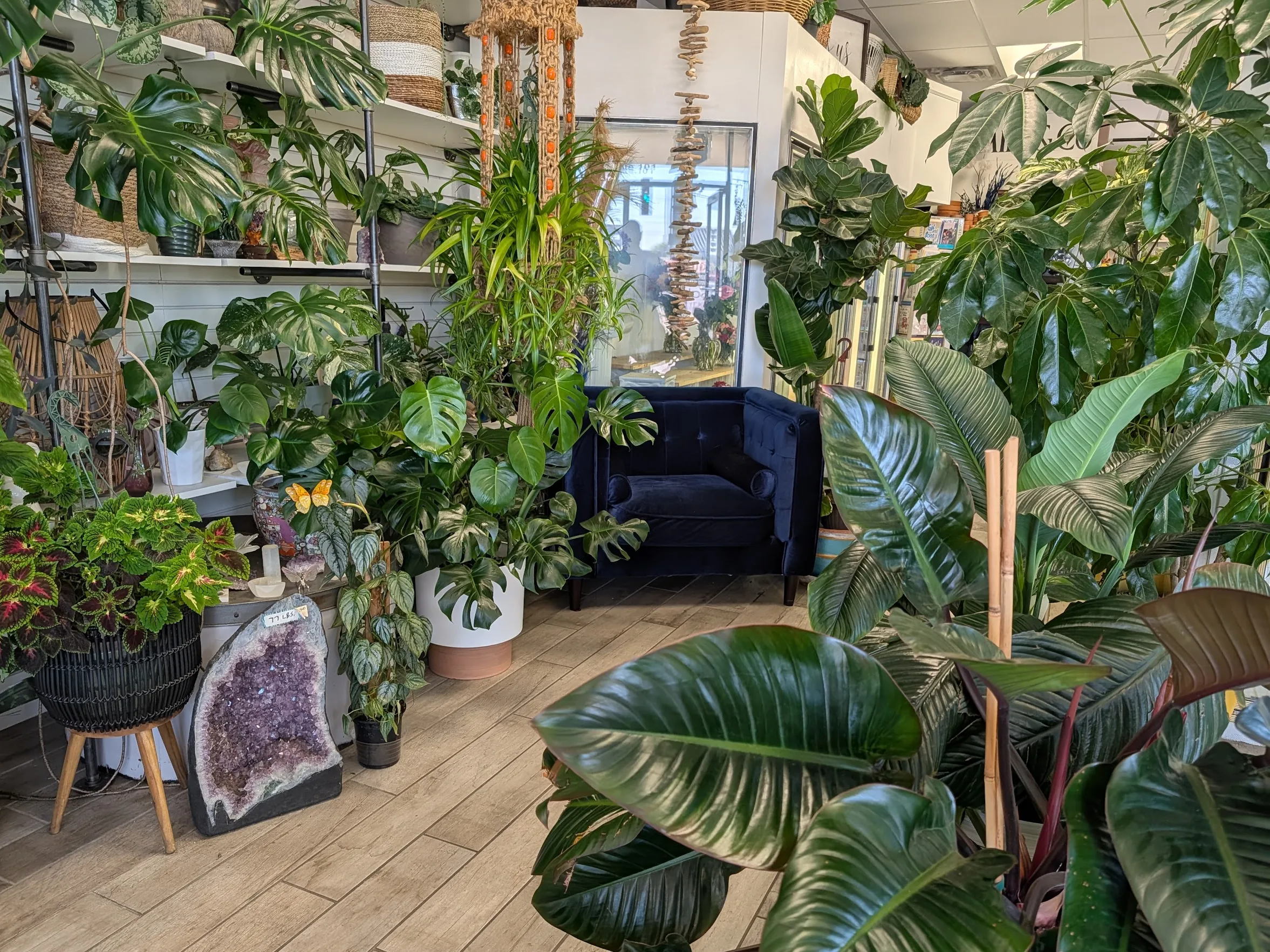 Charlee Rose Coffee - inside 3