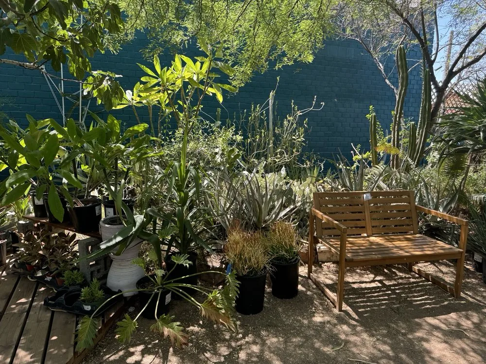 Caffio Espresso garden