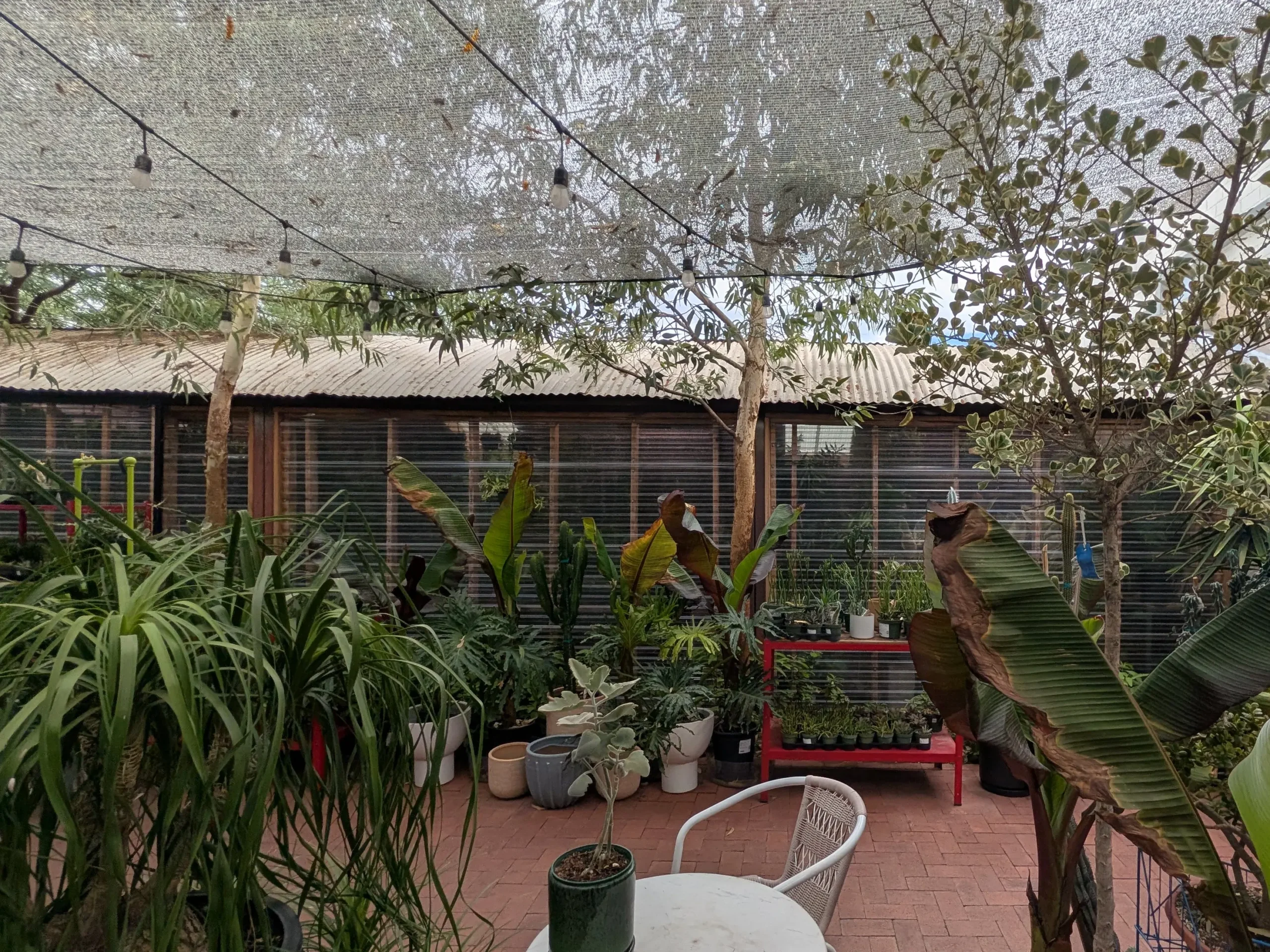 Caffio and Pueblo Garden