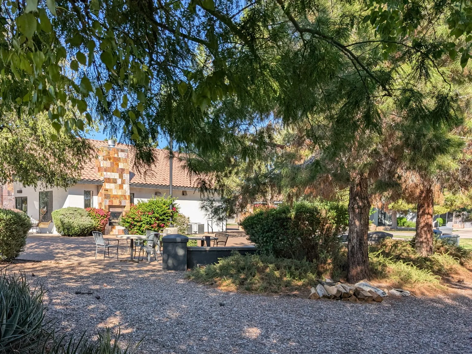 Grove Coffee in Chandler, AZ. Image showing the Shaded outdoor seating Area