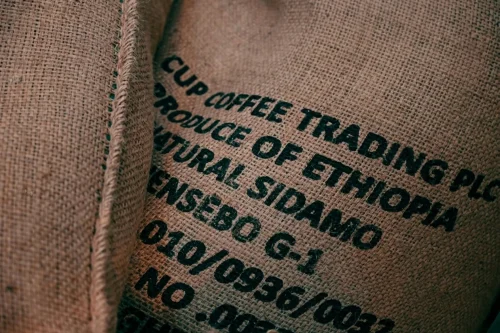 Ethiopia Sidamo or Sidama Green unroasted coffee beans inside burlap bag