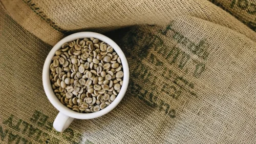 Unroasted Robusta green coffee beans displayed on burlap, the raw commodity traded on global futures markets.